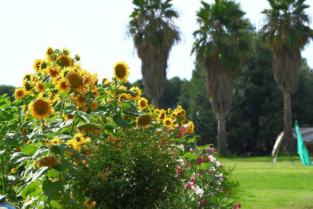 Resort Sciabache Zambrone Kültér fotó